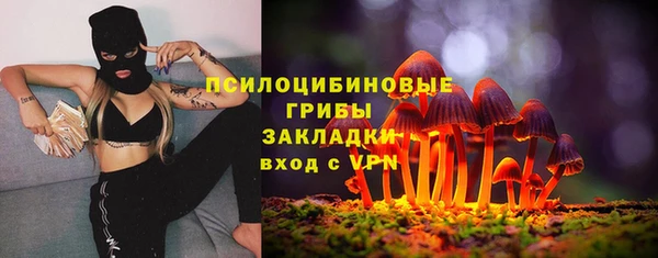 соль курить ск Алексеевка