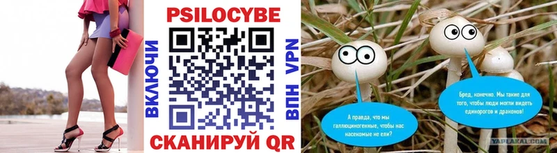 Псилоцибиновые грибы Magic Shrooms  купить наркотики сайты  Фатеж 